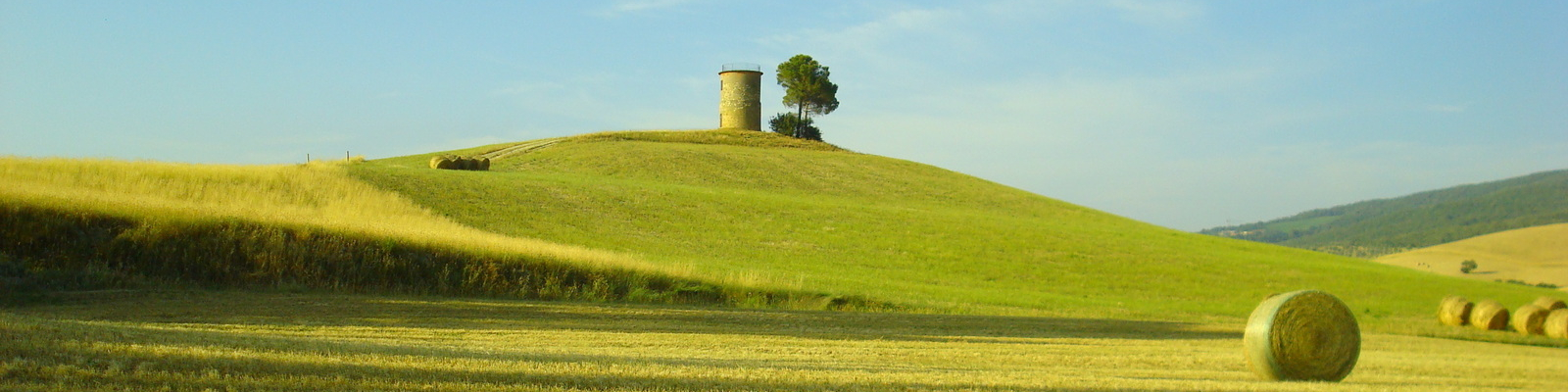 Mulino del cardellino